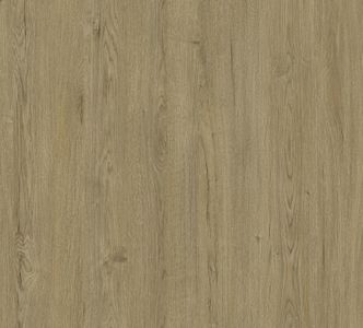 809 SYN3  - ALBA OAK